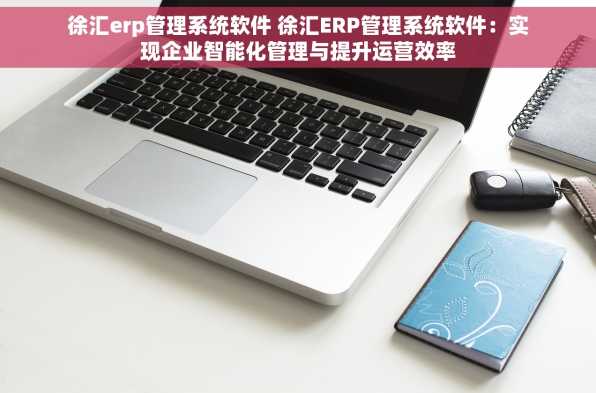 徐汇erp管理系统软件 徐汇ERP管理系统软件：实现企业智能化管理与提升运营效率
