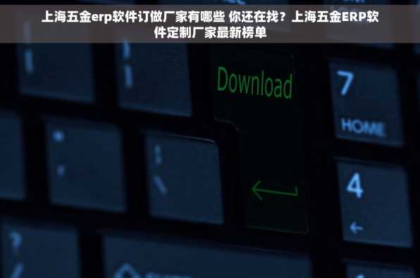 上海五金erp软件订做厂家有哪些 你还在找？上海五金ERP软件定制厂家最新榜单