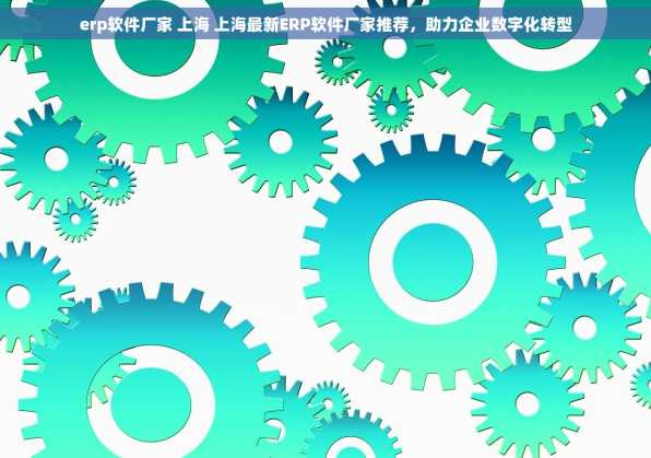 erp软件厂家 上海 上海最新ERP软件厂家推荐，助力企业数字化转型