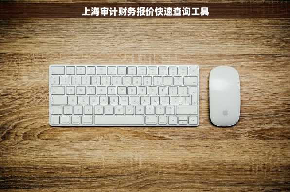 上海审计财务报价快速查询工具