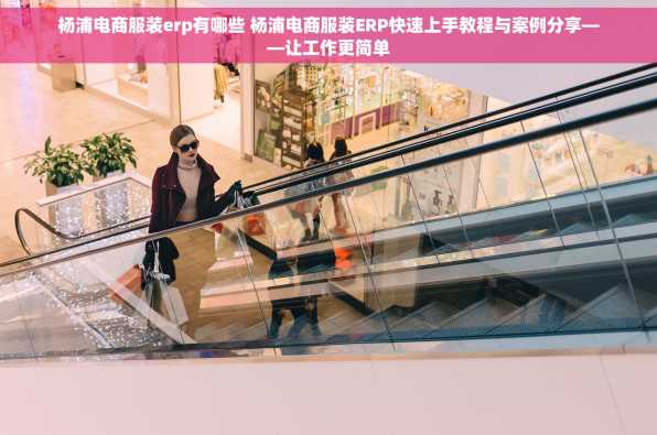 杨浦电商服装erp有哪些 杨浦电商服装ERP快速上手教程与案例分享——让工作更简单