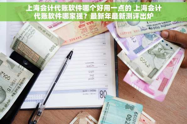 上海会计代账软件哪个好用一点的 上海会计代账软件哪家强？最新年最新测评出炉