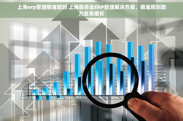 上海erp管理精准规划 上海服务业ERP管理解决方案，精准规划助力业务增长