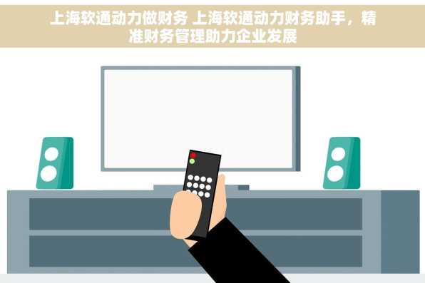 上海软通动力做财务 上海软通动力财务助手，精准财务管理助力企业发展