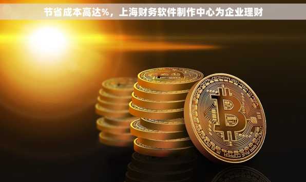 节省成本高达%，上海财务软件制作中心为企业理财