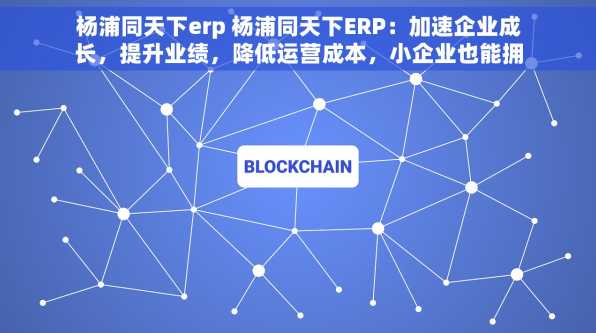 杨浦同天下erp 杨浦同天下ERP：加速企业成长，提升业绩，降低运营成本，小企业也能拥有大企业管理能力！🚀💪⏰省钱省时的报表生成工具！