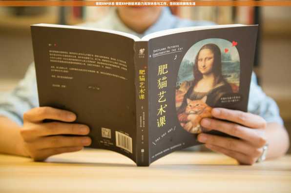 普陀ERP休息 普陀ERP新版本助力高效休息与工作，告别加班拥抱生活