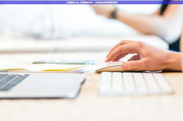 上海国核 erp 上海国核ERP：让您的业务流程更顺畅