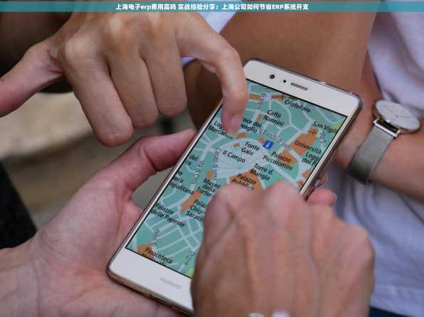 上海电子erp费用高吗 实战经验分享：上海公司如何节省ERP系统开支