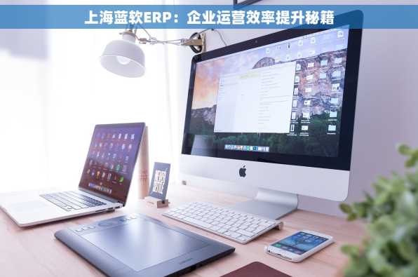 上海蓝软ERP：企业运营效率提升秘籍