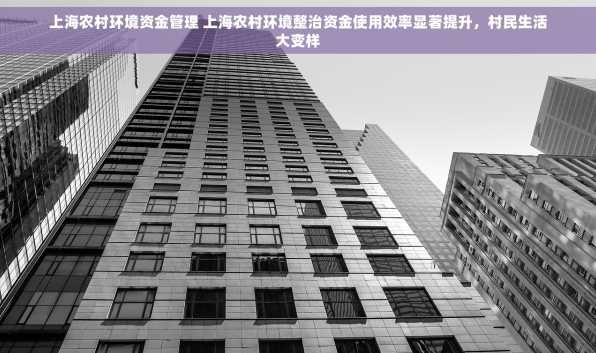 上海农村环境资金管理 上海农村环境整治资金使用效率显著提升，村民生活大变样