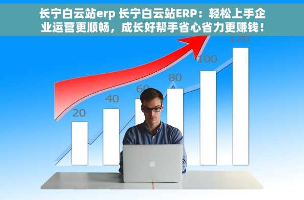 长宁白云站erp 长宁白云站ERP：轻松上手企业运营更顺畅，成长好帮手省心省力更赚钱！