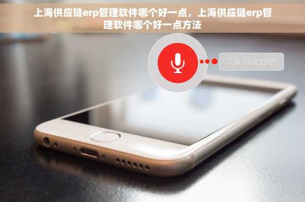 上海供应链erp管理软件哪个好一点，上海供应链erp管理软件哪个好一点方法