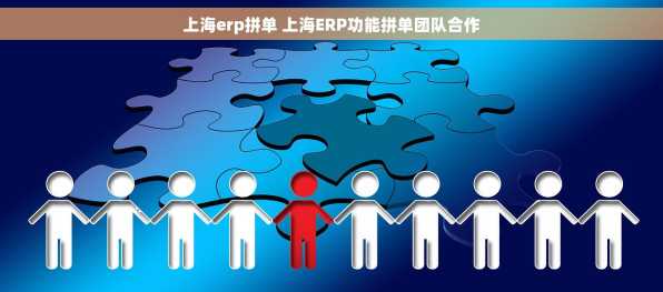 上海erp拼单 上海ERP功能拼单团队合作