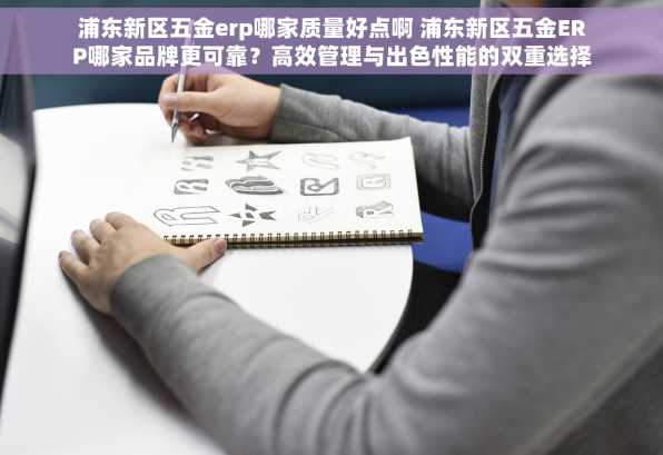 浦东新区五金erp哪家质量好点啊 浦东新区五金ERP哪家品牌更可靠？高效管理与出色性能的双重选择