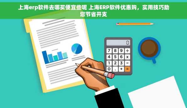 上海erp软件去哪买便宜些呢 上海ERP软件优惠购，实用技巧助您节省开支
