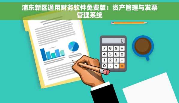 浦东新区通用财务软件免费版：资产管理与发票管理系统