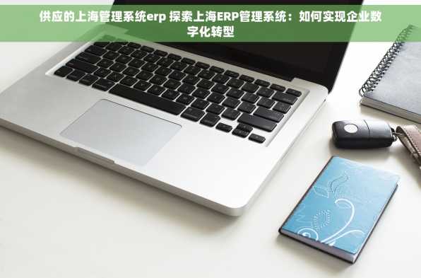 供应的上海管理系统erp 探索上海ERP管理系统：如何实现企业数字化转型