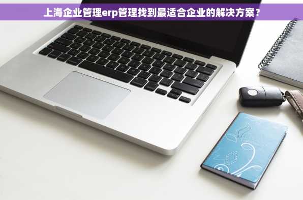 上海企业管理erp管理找到最适合企业的解决方案？