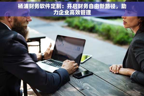 杨浦财务软件定制：开启财务自由新路径，助力企业高效管理