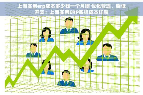 上海实用erp成本多少钱一个月啊 优化管理，降低开支：上海实用ERP系统成本详解