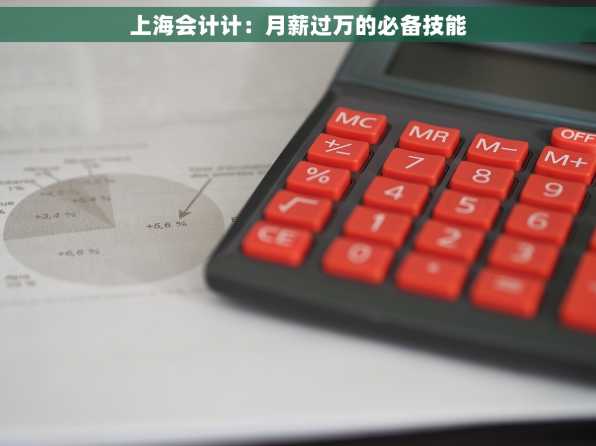 上海会计计：月薪过万的必备技能