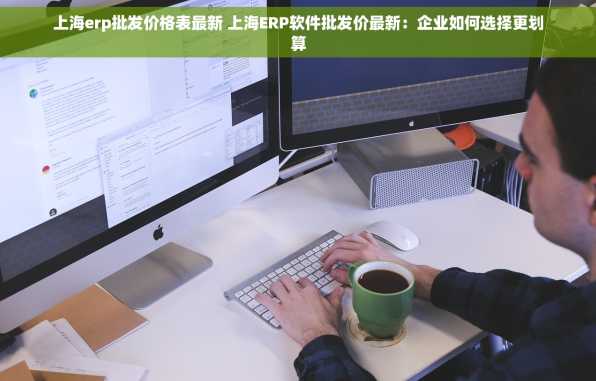 上海erp批发价格表最新 上海ERP软件批发价最新：企业如何选择更划算