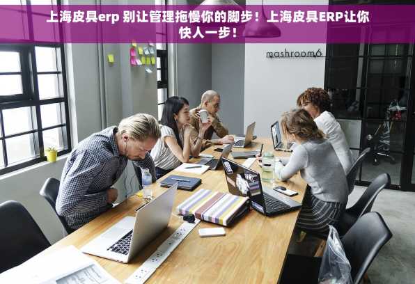 上海皮具erp 别让管理拖慢你的脚步！上海皮具ERP让你快人一步！
