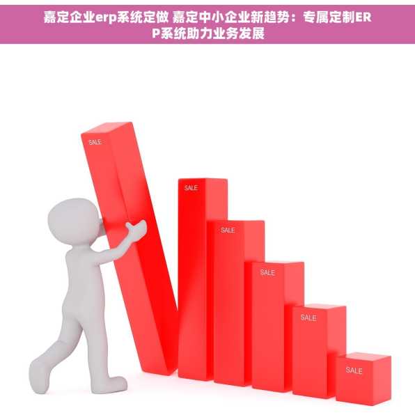 嘉定企业erp系统定做 嘉定中小企业新趋势：专属定制ERP系统助力业务发展