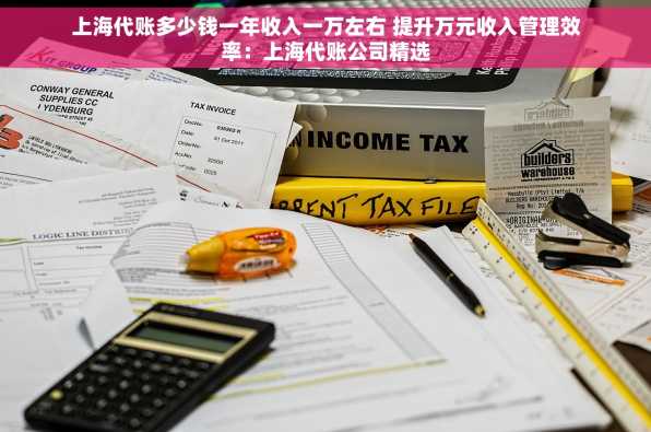 上海代账多少钱一年收入一万左右 提升万元收入管理效率：上海代账公司精选