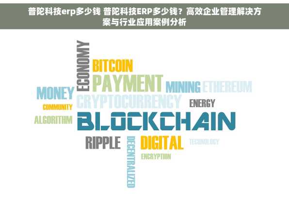 普陀科技erp多少钱 普陀科技ERP多少钱？高效企业管理解决方案与行业应用案例分析