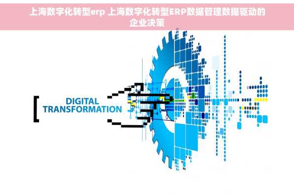 上海数字化转型erp 上海数字化转型ERP数据管理数据驱动的企业决策