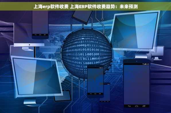 上海erp软件收费 上海ERP软件收费趋势：未来预测