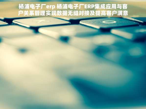 杨浦电子厂erp 杨浦电子厂ERP集成应用与客户关系管理实现数据无缝对接及提高客户满意度