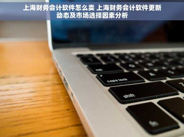 上海财务会计软件怎么卖 上海财务会计软件更新动态及市场选择因素分析