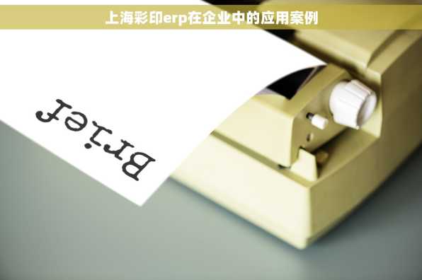 上海彩印erp在企业中的应用案例