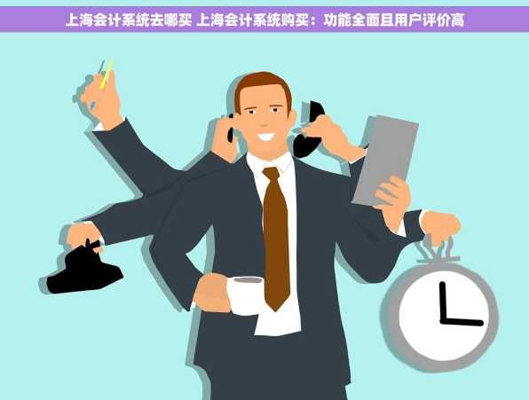 上海会计系统去哪买 上海会计系统购买：功能全面且用户评价高