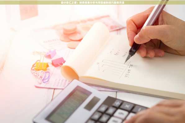 会计徐汇之家：财务报表分析与预算编制技巧最新方法