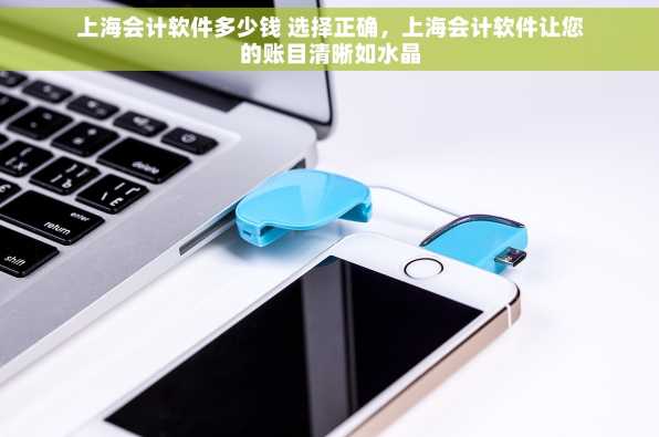 上海会计软件多少钱 选择正确，上海会计软件让您的账目清晰如水晶