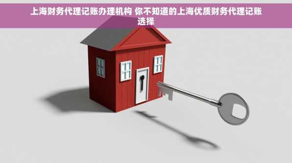 上海财务代理记账办理机构 你不知道的上海优质财务代理记账选择