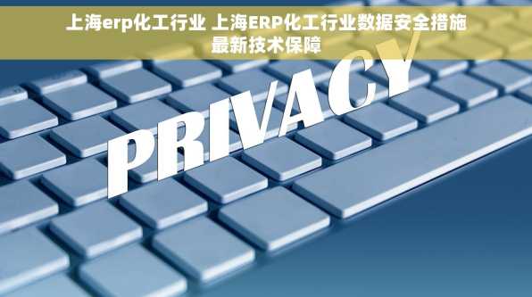 上海erp化工行业 上海ERP化工行业数据安全措施最新技术保障