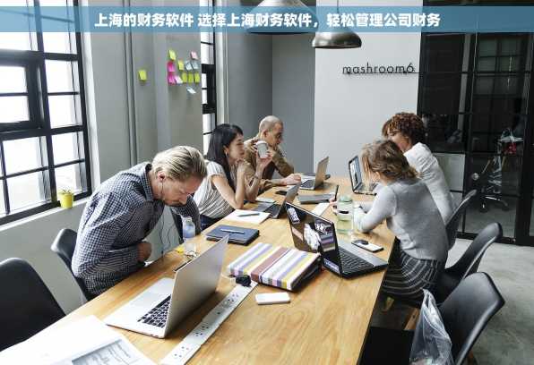 上海的财务软件 选择上海财务软件，轻松管理公司财务