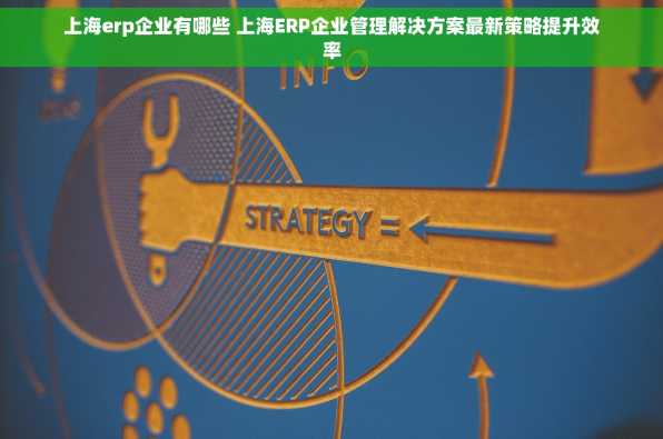 上海erp企业有哪些 上海ERP企业管理解决方案最新策略提升效率
