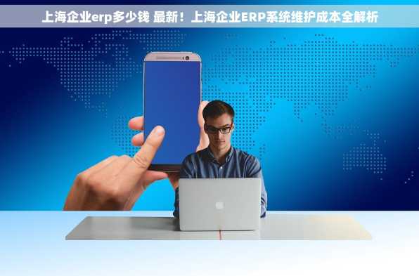 上海企业erp多少钱 最新！上海企业ERP系统维护成本全解析