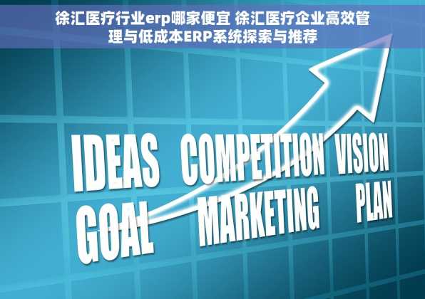 徐汇医疗行业erp哪家便宜 徐汇医疗企业高效管理与低成本ERP系统探索与推荐