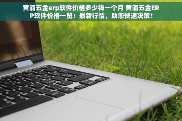 黄浦五金erp软件价格多少钱一个月 黄浦五金ERP软件价格一览：最新行情，助您快速决策！