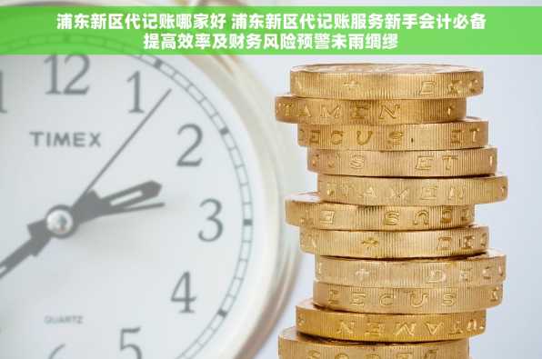 浦东新区代记账哪家好 浦东新区代记账服务新手会计必备提高效率及财务风险预警未雨绸缪