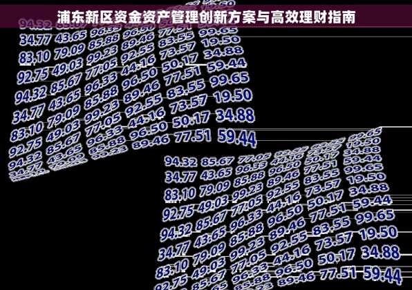 浦东新区资金资产管理创新方案与高效理财指南