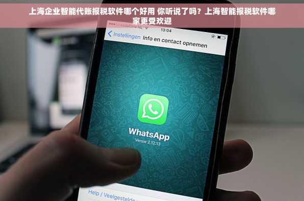上海企业智能代账报税软件哪个好用 你听说了吗？上海智能报税软件哪家更受欢迎
