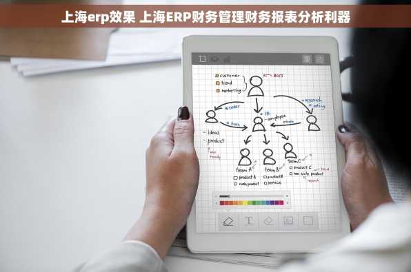 上海erp效果 上海ERP财务管理财务报表分析利器